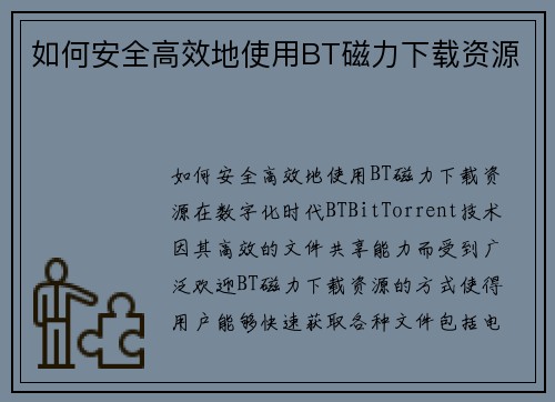 如何安全高效地使用BT磁力下载资源