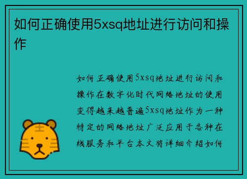 如何正确使用5xsq地址进行访问和操作